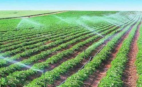 啊嗯嗯啊嗯用力操我视频农田高 效节水灌溉